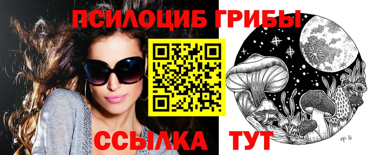 Галлюциногенные грибы мухоморы Димитровград